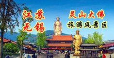 操穴免费视频江苏无锡灵山大佛旅游风景区