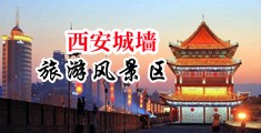 日本骚屄网中国陕西-西安城墙旅游风景区
